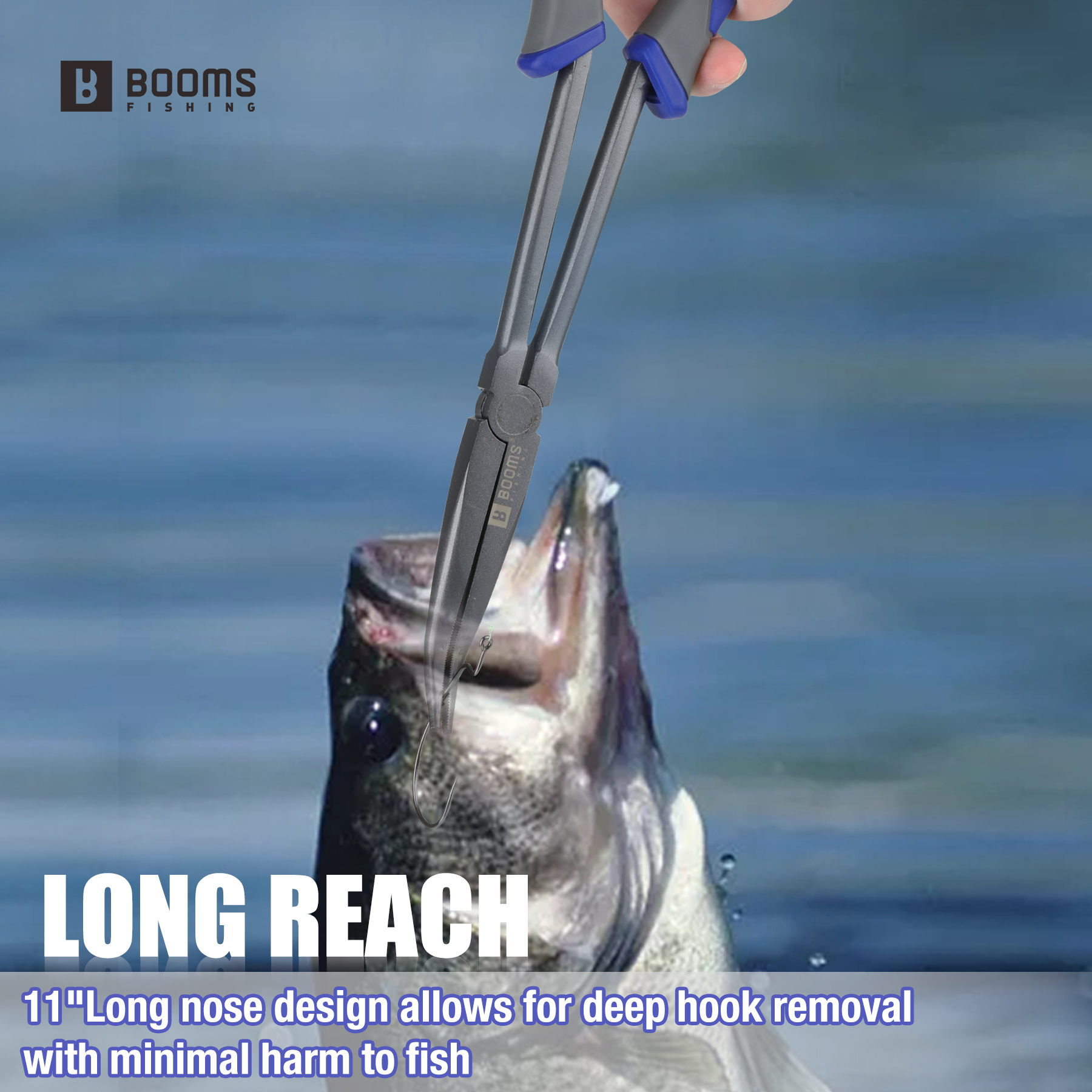 Booms Fishing XW11 Fishing Pli - Fishing Equipment Target reseña y precio