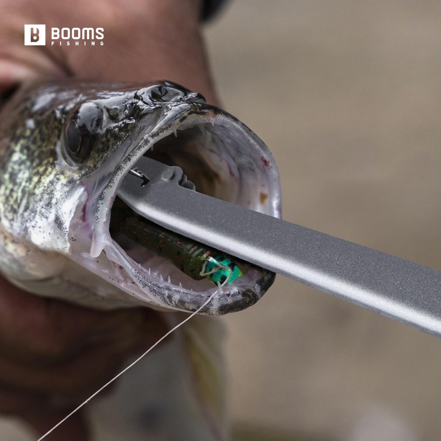 Booms Fishing 25cm Carbon Stee - Fishing Equipment Target reseña y precio